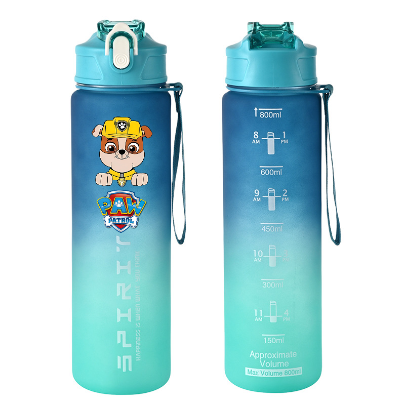 800 ml PAW Patrol Spor Su Şişe - Kids Outdoor Movies incelemesi ve fiyatı