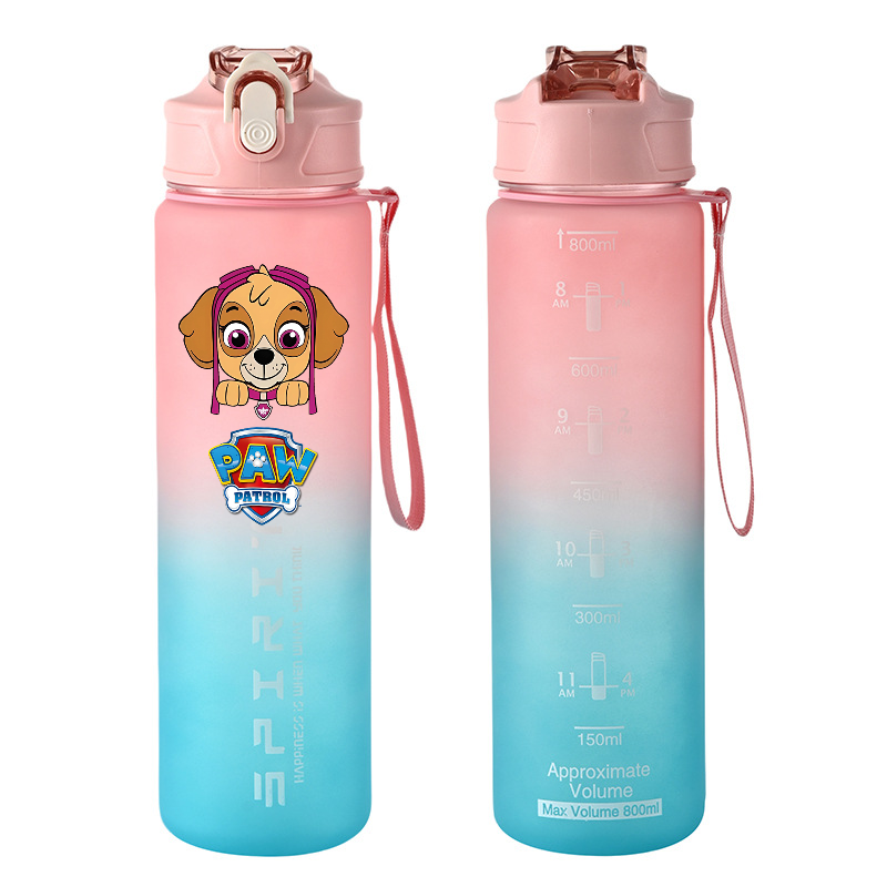 800 ml PAW Patrol Spor Su Şişe - Kids Outdoor Movies incelemesi ve fiyatı