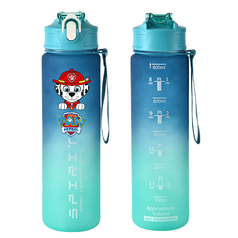 800 ml PAW Patrol Spor Su Şişe - Kids Outdoor Movies incelemesi ve fiyatı